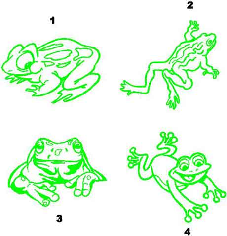 Various Frog Toad vinyl decal decals stickers